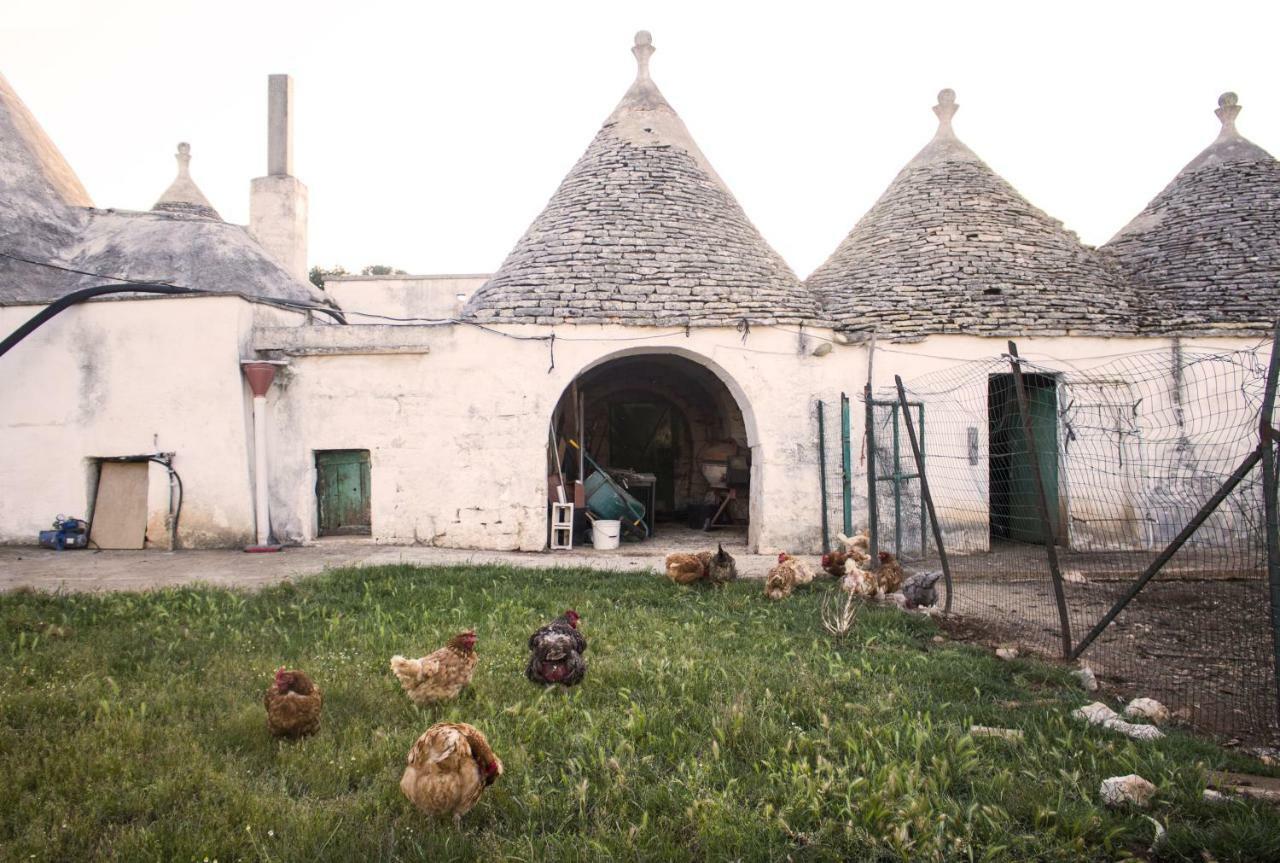 Trulli Sul Vignale In Masseria Santalachicca Martina Franca Luaran gambar